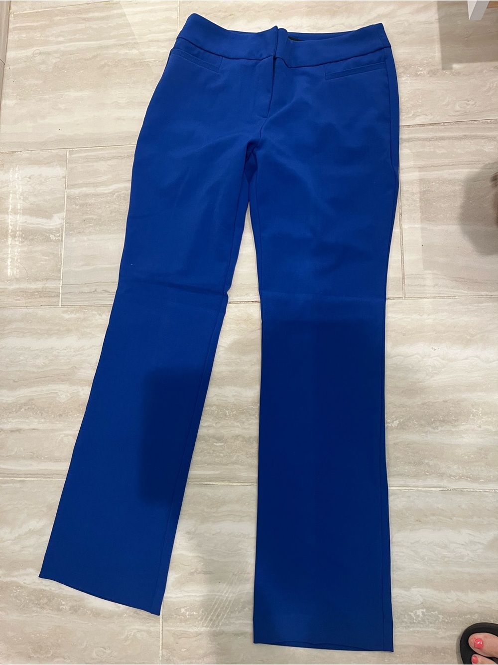 NWT NY&CO Pants